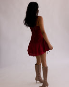 Scarlet Amour Mini Dress